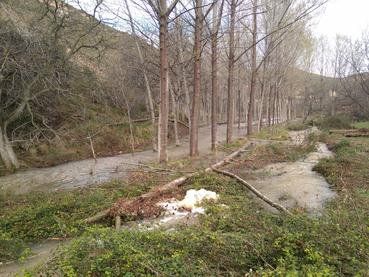 Las lluvias y las nevadas de los últimos meses han provocado el actual aumento de los cauces de los ríos de la comarca de Cervera. El Añamaza, procedente de tierras sorianas ha provocado el llenado del embalse del mismo nombre, en Valdegutur, pedanía de Cervera. Todas las compuertas están abiertas desde hace varios días y ayer el agua continuaba en el límite de la cota de la presa.