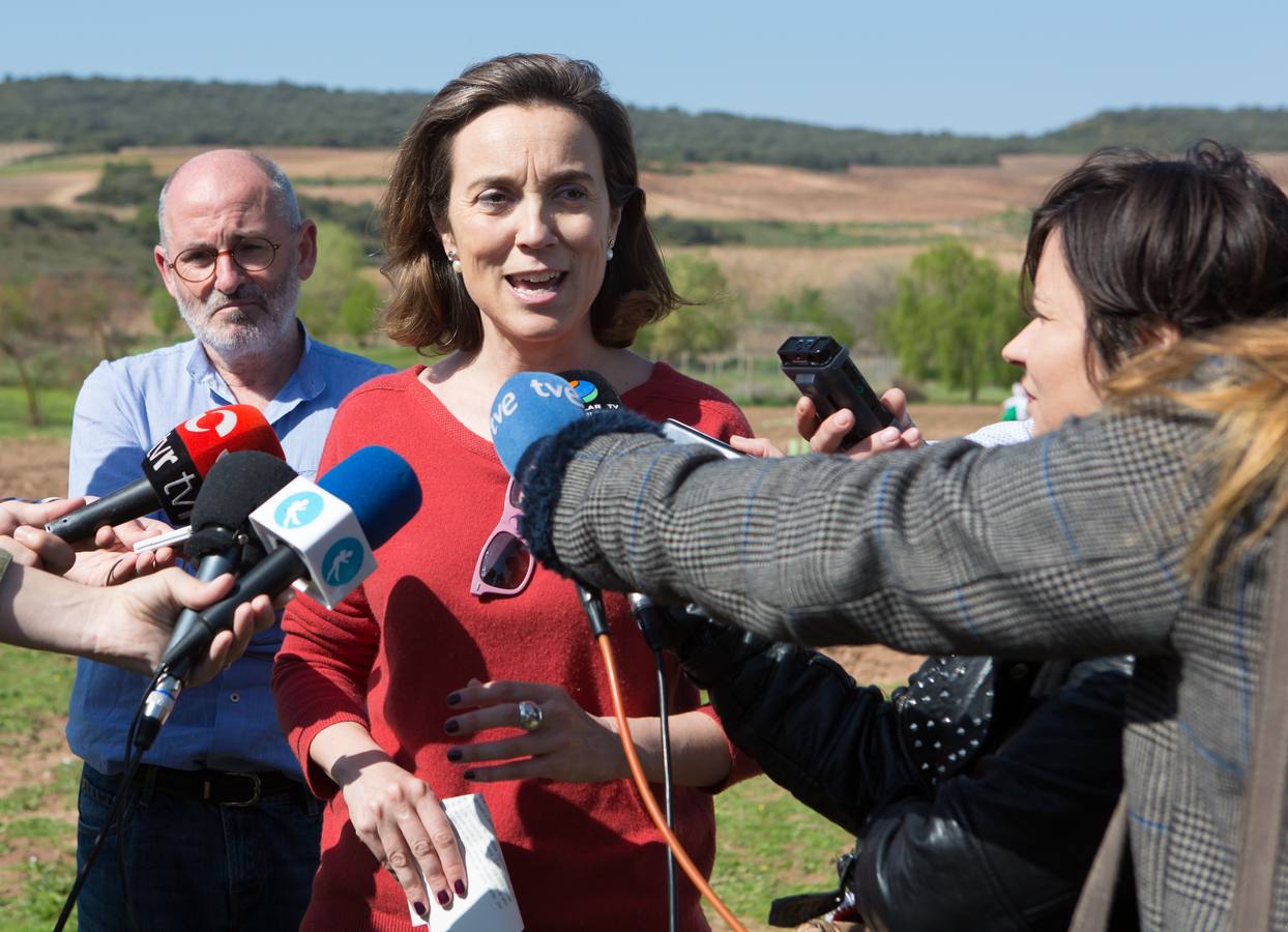 Cuca Gamarra y unos 200 escolares de la ciudad han participado en la tradicional plantación de encinas y pinos en el parque de La Grajera