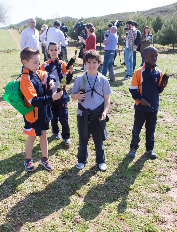 Cuca Gamarra y unos 200 escolares de la ciudad han participado en la tradicional plantación de encinas y pinos en el parque de La Grajera