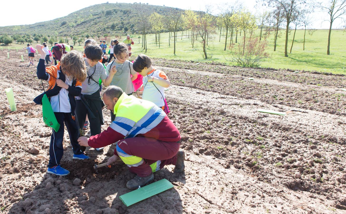 Cuca Gamarra y unos 200 escolares de la ciudad han participado en la tradicional plantación de encinas y pinos en el parque de La Grajera