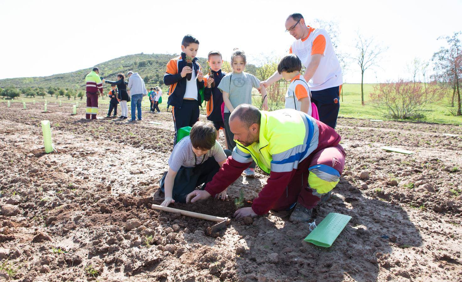 Cuca Gamarra y unos 200 escolares de la ciudad han participado en la tradicional plantación de encinas y pinos en el parque de La Grajera