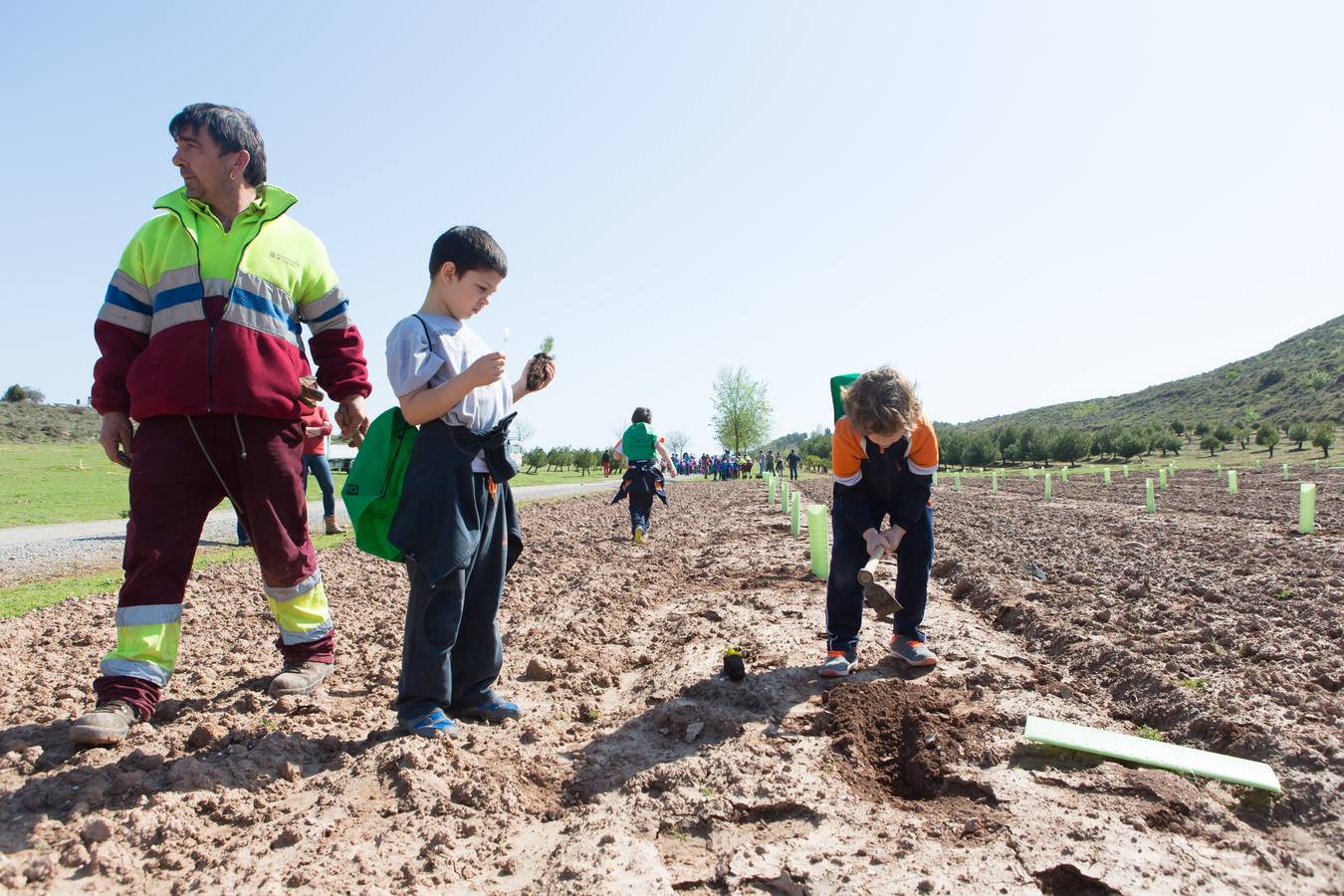 Cuca Gamarra y unos 200 escolares de la ciudad han participado en la tradicional plantación de encinas y pinos en el parque de La Grajera