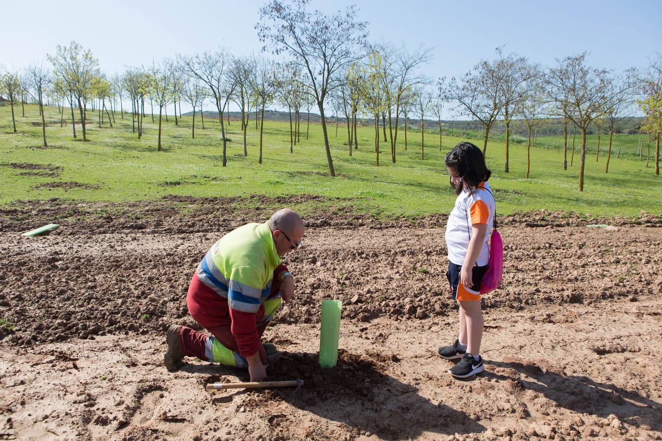 Cuca Gamarra y unos 200 escolares de la ciudad han participado en la tradicional plantación de encinas y pinos en el parque de La Grajera