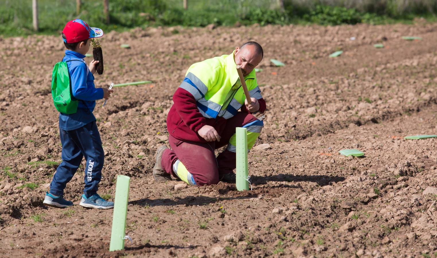 Cuca Gamarra y unos 200 escolares de la ciudad han participado en la tradicional plantación de encinas y pinos en el parque de La Grajera