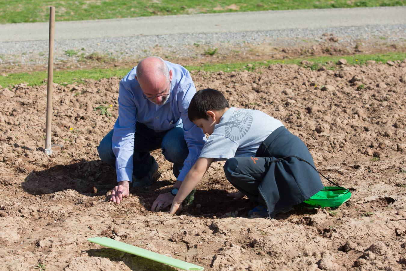 Cuca Gamarra y unos 200 escolares de la ciudad han participado en la tradicional plantación de encinas y pinos en el parque de La Grajera