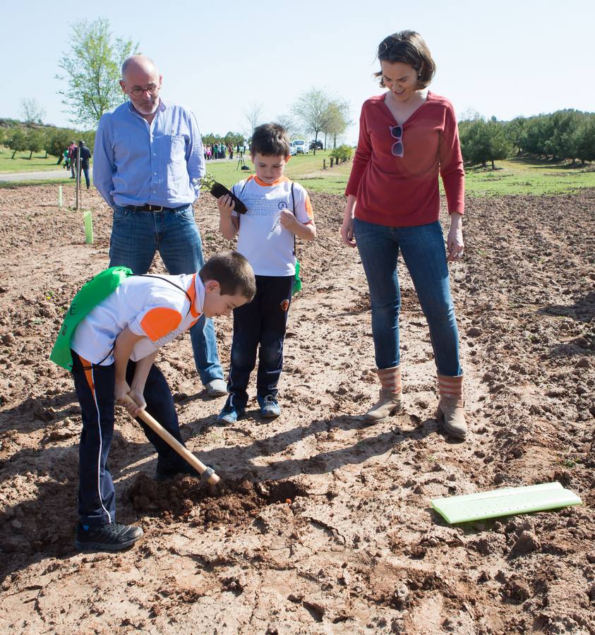 Cuca Gamarra y unos 200 escolares de la ciudad han participado en la tradicional plantación de encinas y pinos en el parque de La Grajera