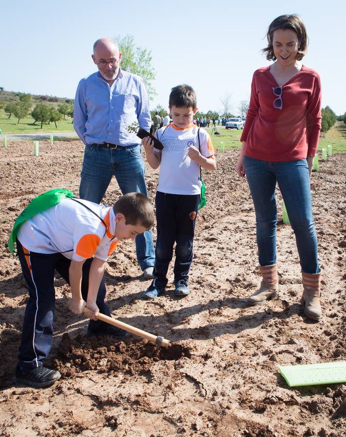 Cuca Gamarra y unos 200 escolares de la ciudad han participado en la tradicional plantación de encinas y pinos en el parque de La Grajera