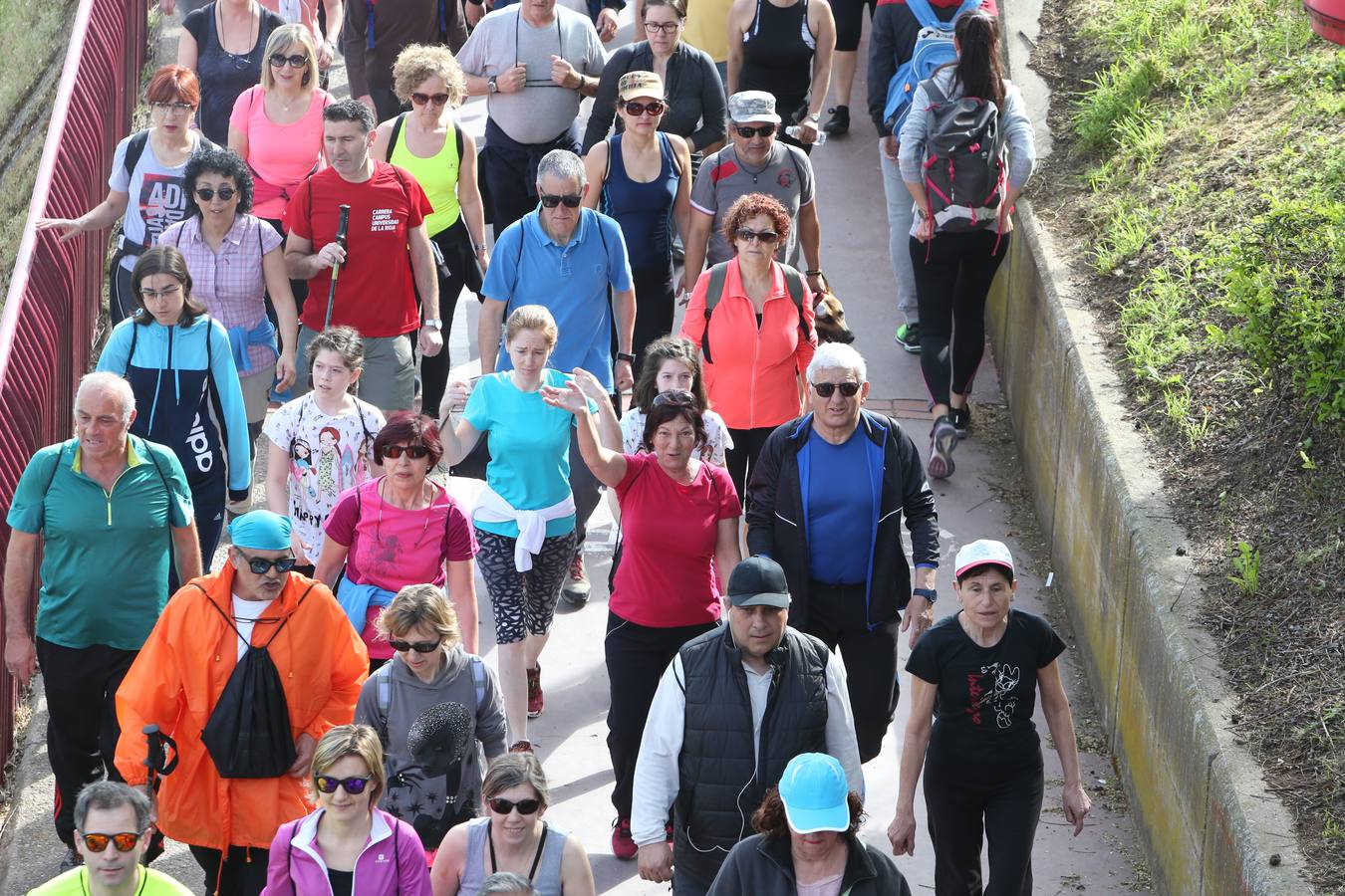 1.400 personas han participado en el tercer Paseo Saludable con destino el Monte Cantabria