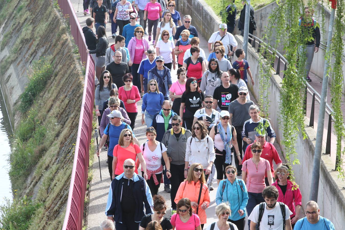 1.400 personas han participado en el tercer Paseo Saludable con destino el Monte Cantabria.