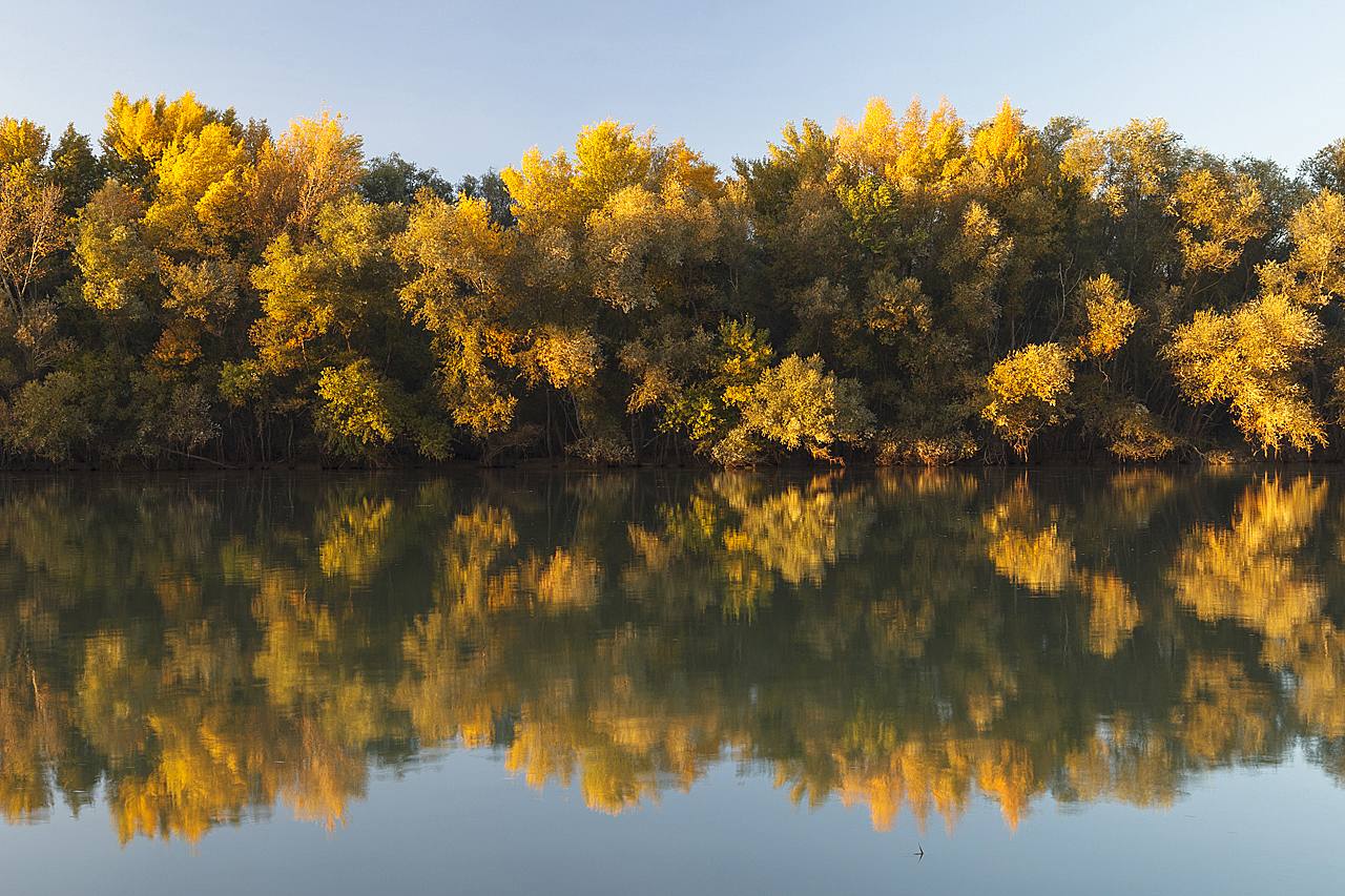 'Sotos de otoño' | Eduardo Blanco Mendizábal