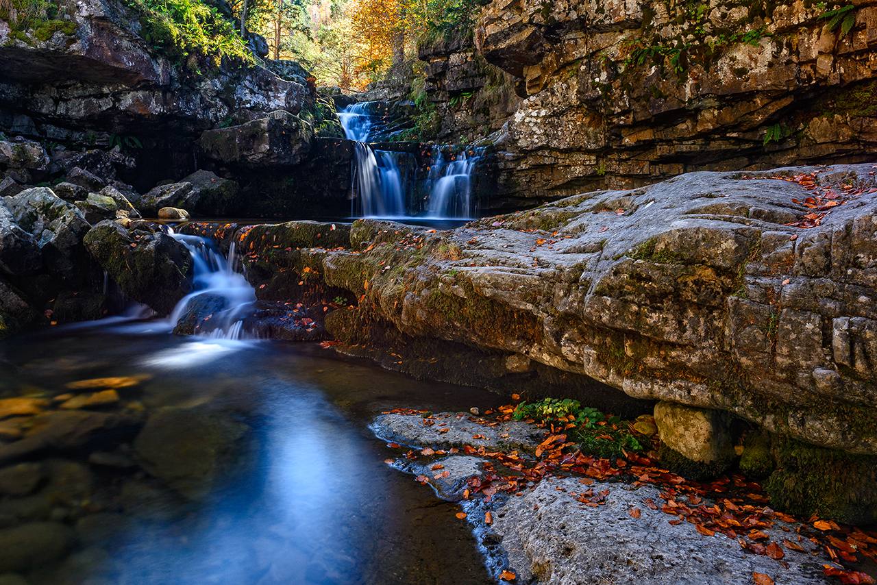 'Otoño en Sierra Cebollera' | Alberto Loyo Castillo