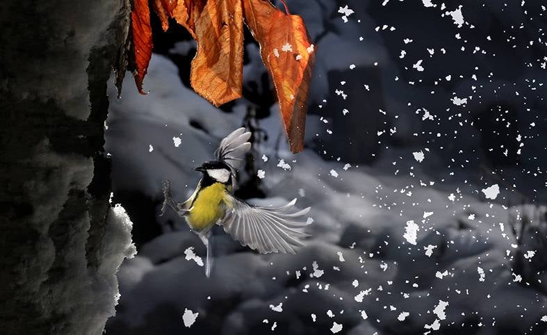 'Refugio de invierno' | Daniel Pérez Acevedo