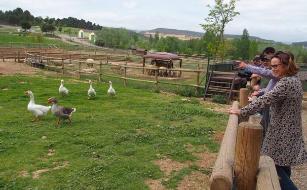 La Grajera reabre su granja con más de 70 animales 