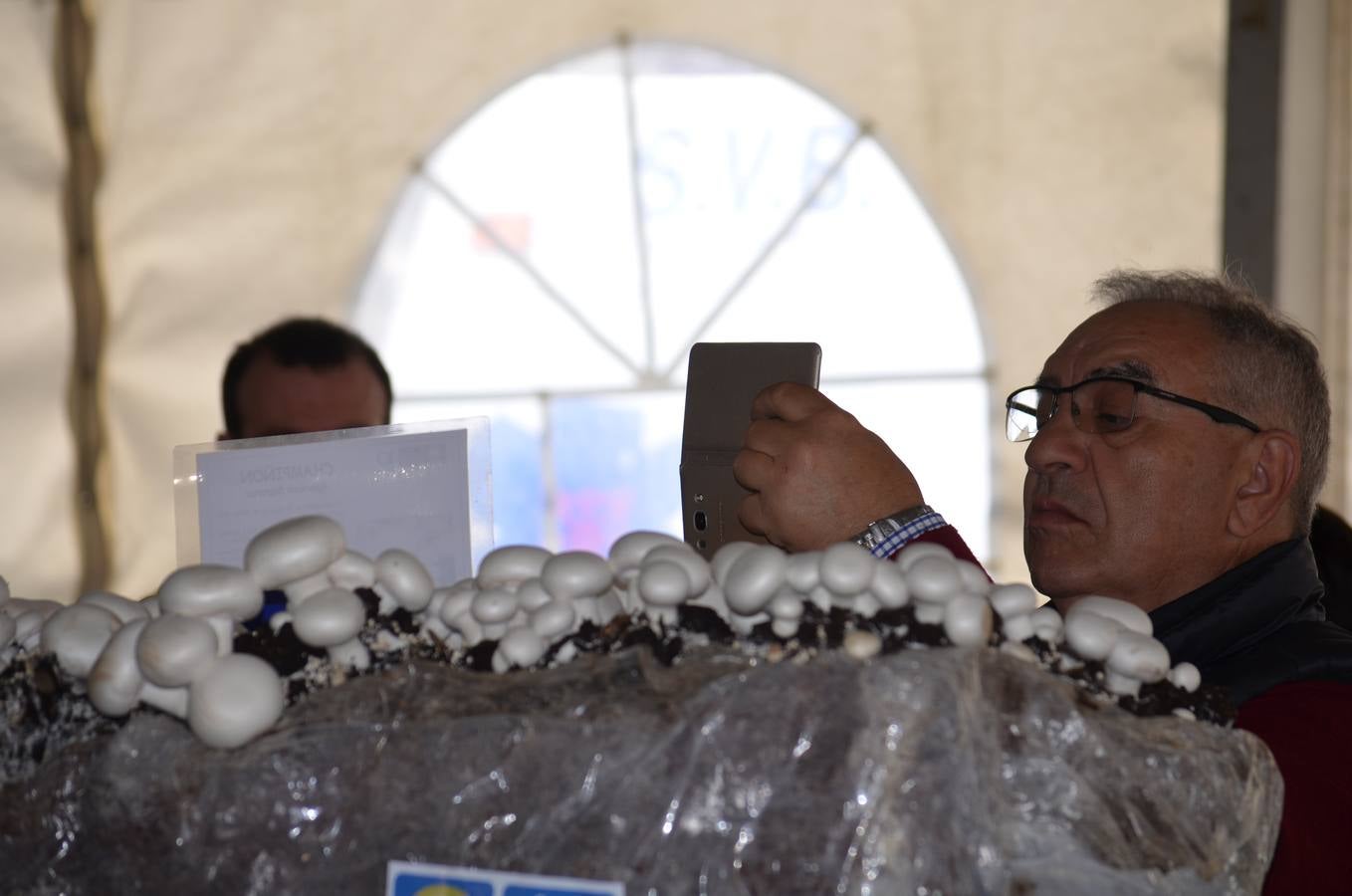 Fotos: Mercado de la verdura de Calahorra