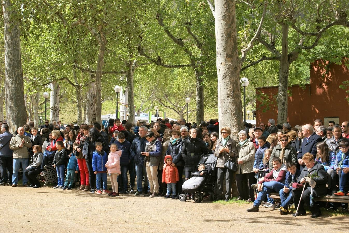 Fotos: Aclamación y pregón en Nájera