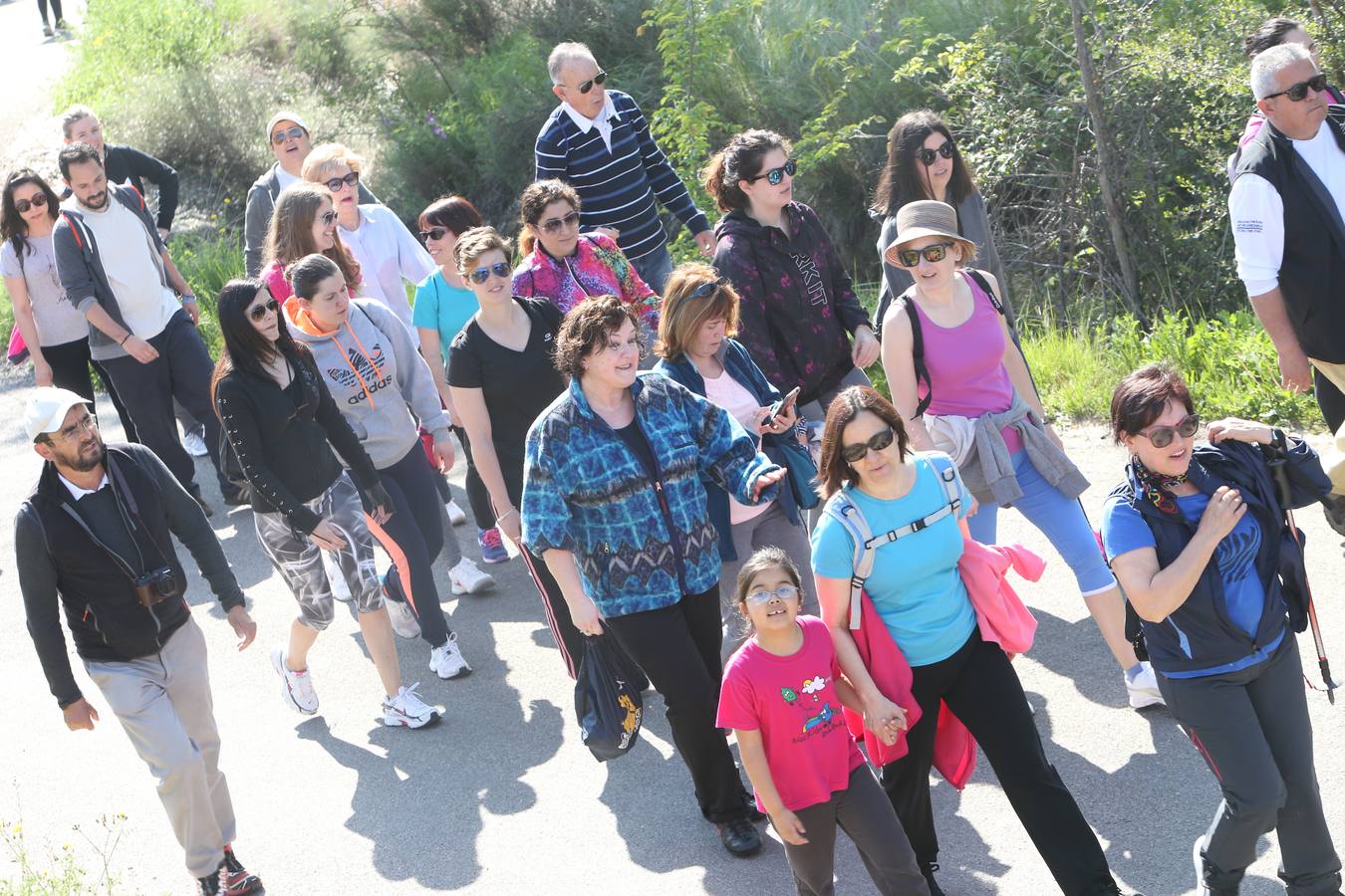 1.200 personas participaron en el útimo Paseo Saludable, un recorrido de doce kilómetros al mirador de los viñedos, a medio camino entre Logroño y El Cortijo.