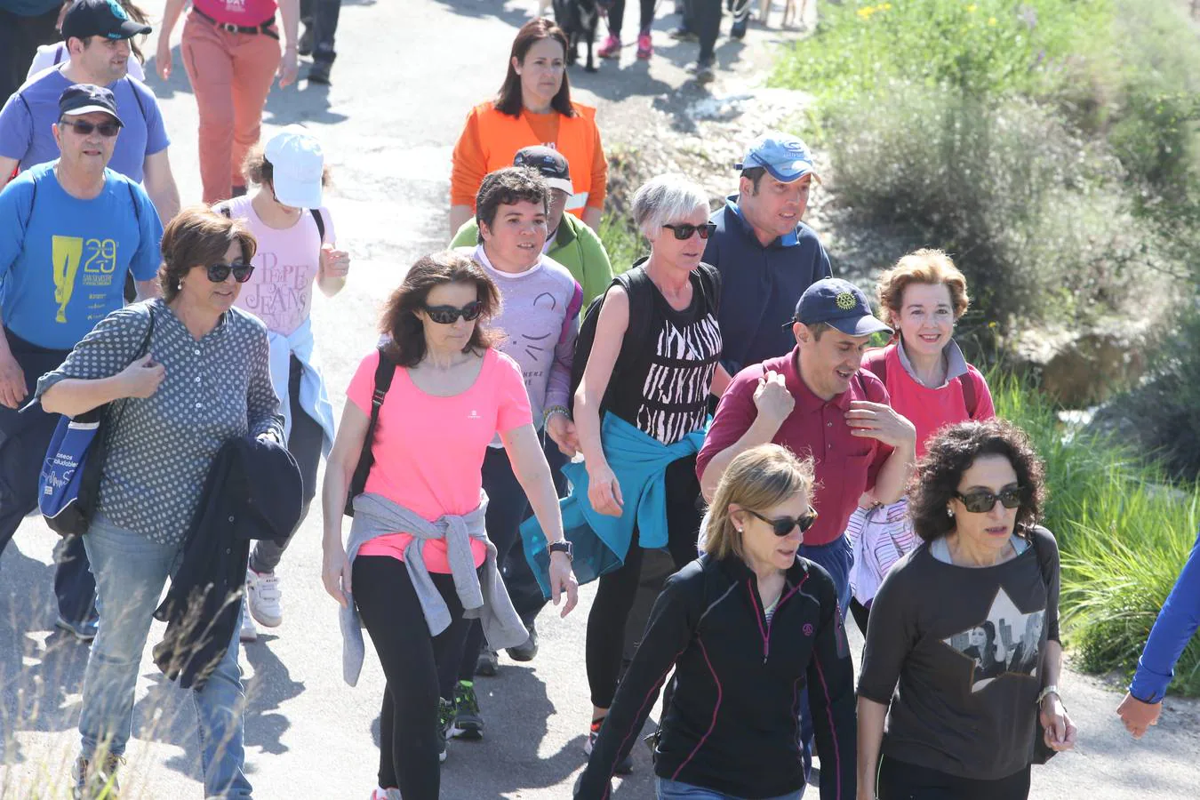 1.200 personas participaron en el útimo Paseo Saludable, un recorrido de doce kilómetros al mirador de los viñedos, a medio camino entre Logroño y El Cortijo.