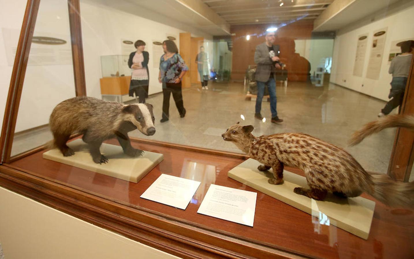 La Casa de las Ciencias propone la exposición 'Excreta', una propuesta que ahonda en el detritus urbano y en la capaidad de reciclaje de las deposiciones del hombre en las ciudades como las animales en el medio natural.