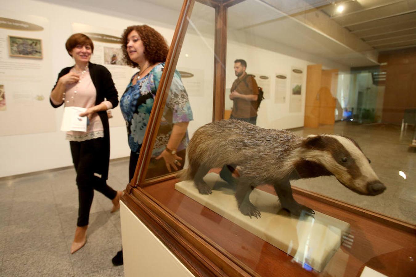 La Casa de las Ciencias propone la exposición 'Excreta', una propuesta que ahonda en el detritus urbano y en la capaidad de reciclaje de las deposiciones del hombre en las ciudades como las animales en el medio natural.