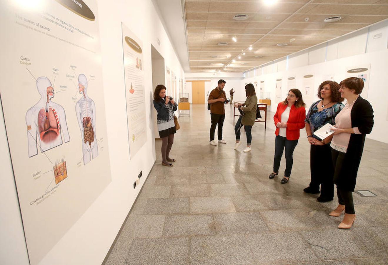 La Casa de las Ciencias propone la exposición 'Excreta', una propuesta que ahonda en el detritus urbano y en la capaidad de reciclaje de las deposiciones del hombre en las ciudades como las animales en el medio natural.
