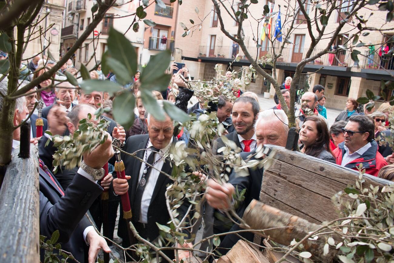 Primer día de las fiestas patronales del Santo en Santo Domingo de la Calzada, con el cohete, la procesión de Los Ramos y las prioras.