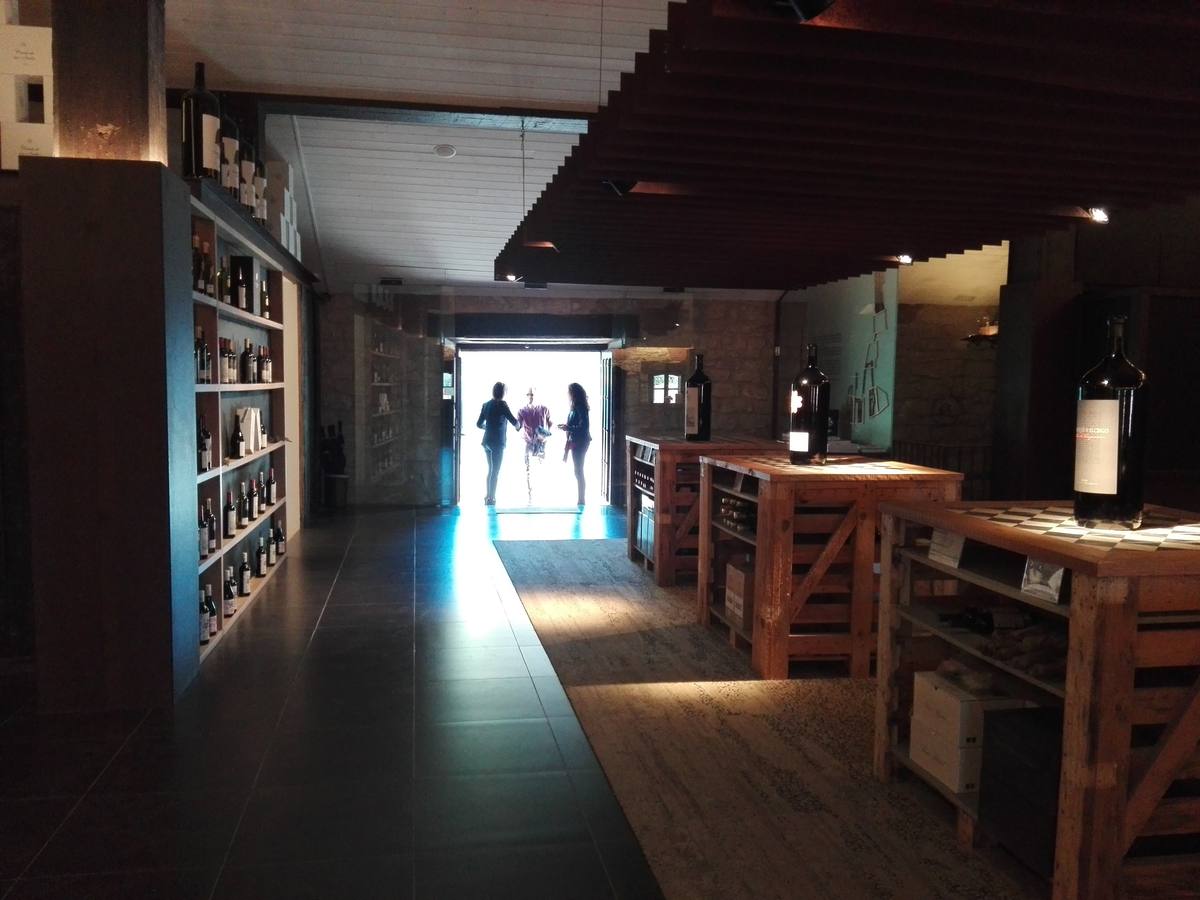 Fotos: Bodegas Ollauri recorre los vinos de Rioja y del mundo