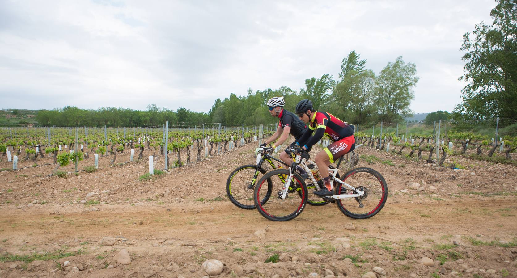 Los ciclistas, a su paso por Entrena.