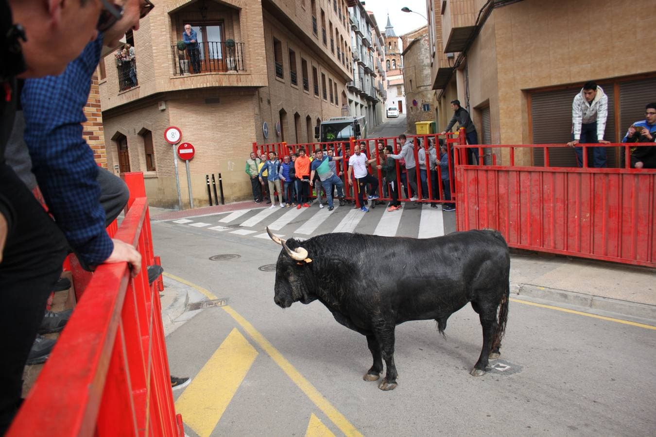 Segundo día de las Fiestas de la Primavera en Alfaro.