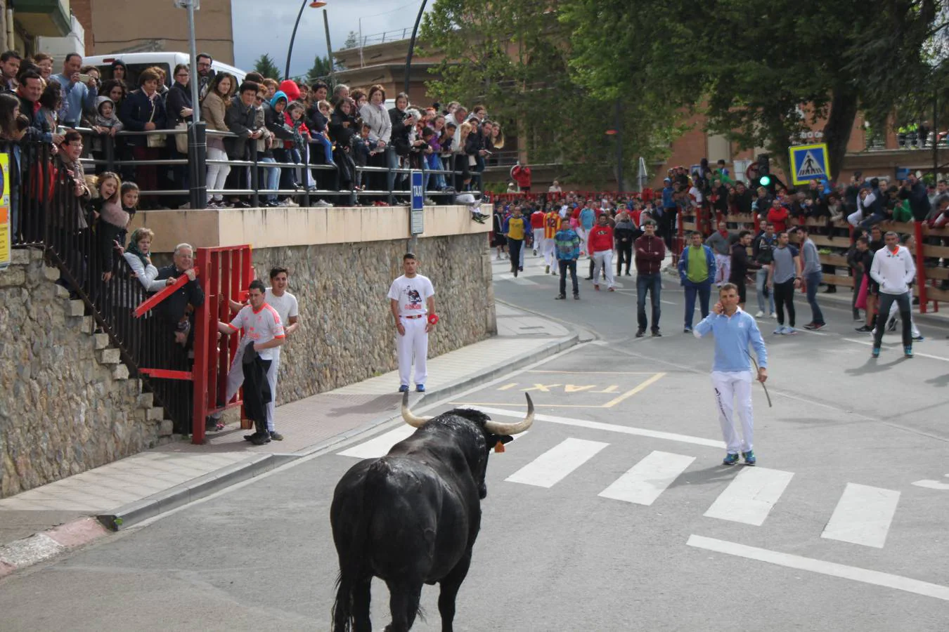 Segundo día de las Fiestas de la Primavera en Alfaro.