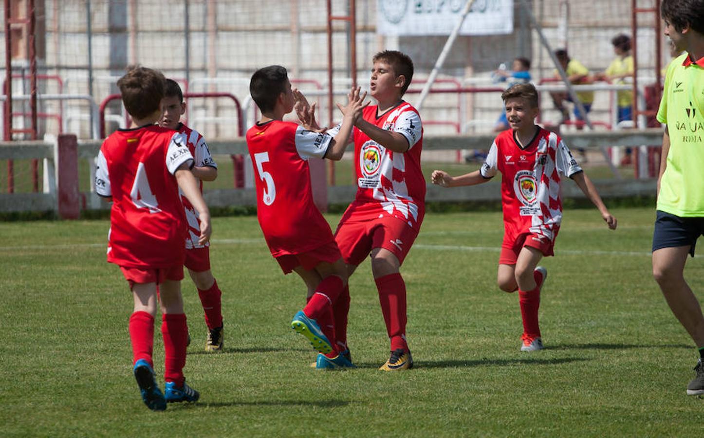 Alrededor de 500 niños de 32 equipos de fútbol 8 disputan el Torneo de fútbol benjamín (nacidos en el 2007 y 2008) que ha organizado el Varea con motivo de su 50 aniversario.