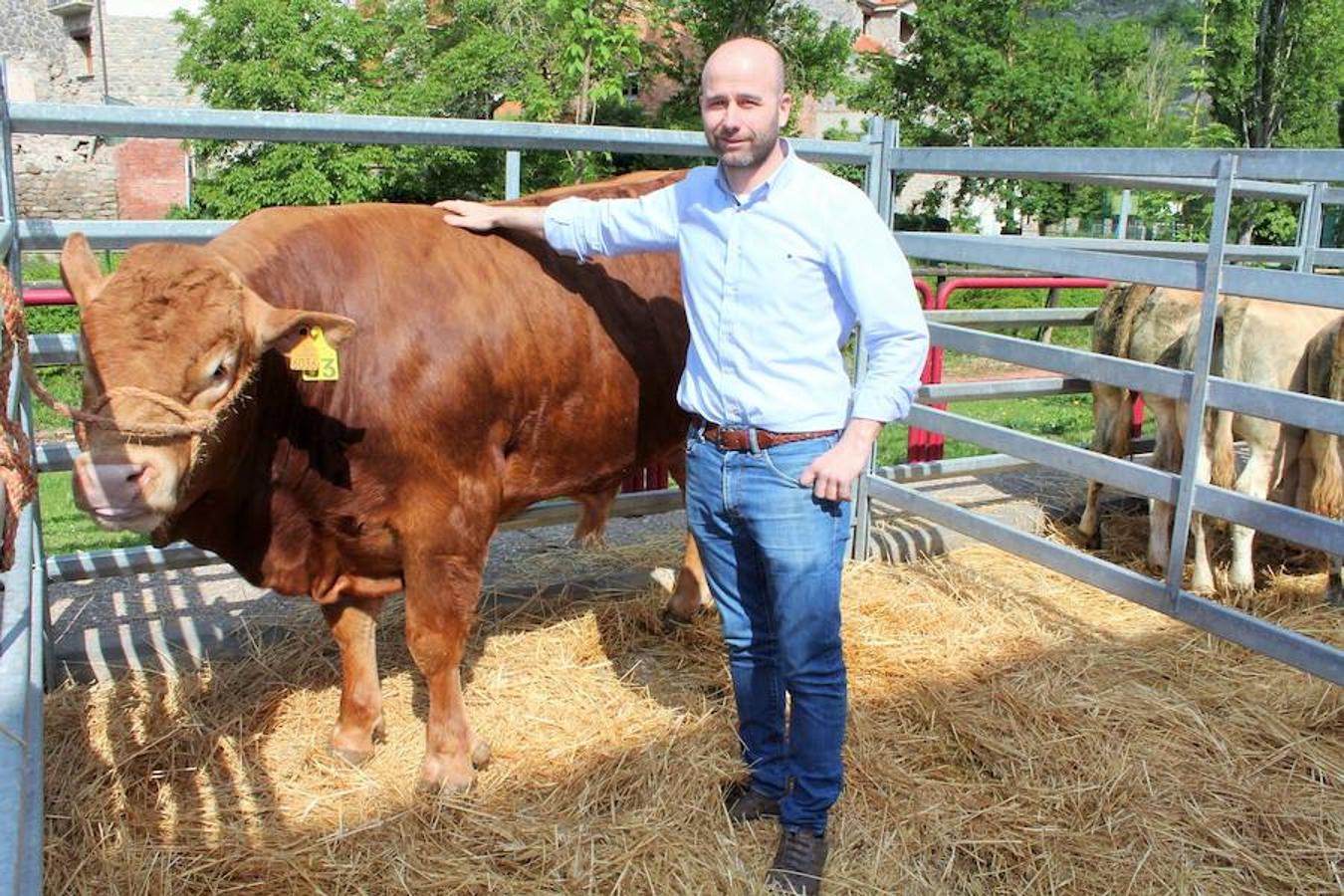 Soto en Cameros ha reeditado la tradicional feria del ganado loca. Una selección de distintas variedades de reses, de ganado caprino, ovino y caballar han sido expuestas en la plaza local en un ambiente festivo.