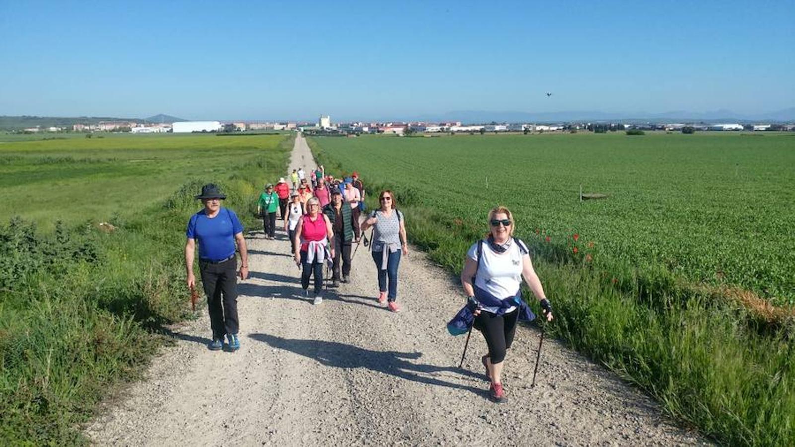 Gallinero de Rioja apunta a verano con su romería, la primera que se realiza tras las fiestas patronales de Santo Domingo. Después seguirán otras dos, ambas con destino a la ermita de Las Abejas.