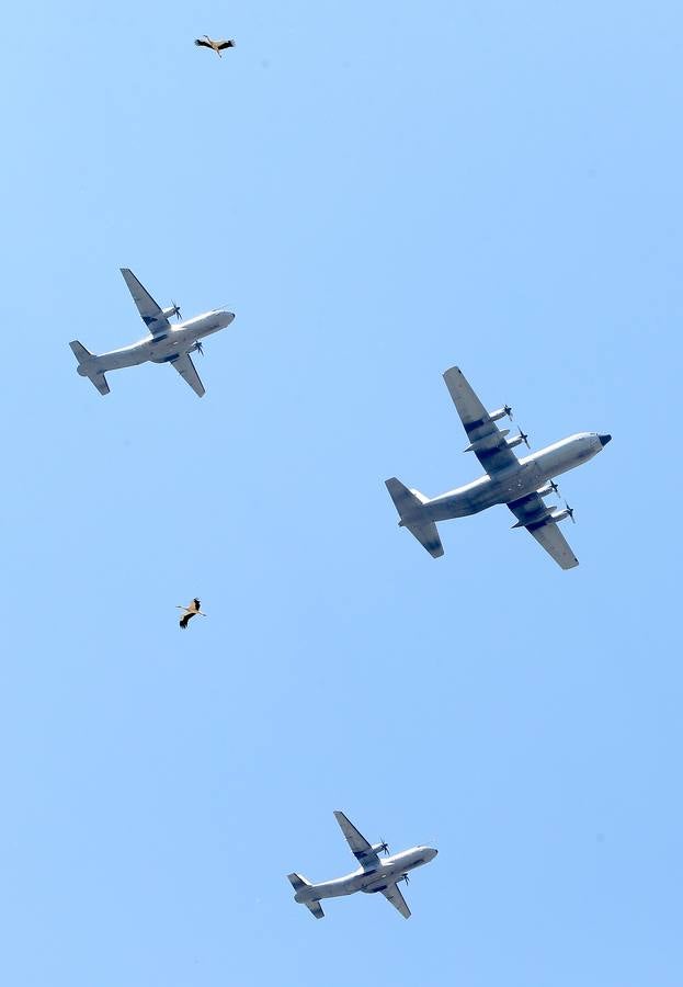 Los aviones de las Fuerzas Armadas vuelven a surcar el cielo logroñés. Están preparándose para el Desfile del Día de las Fuerzas Amaradas.