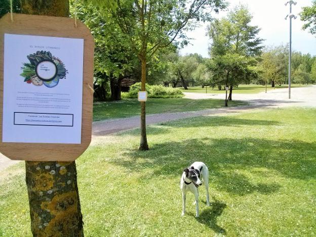 Cartel que anuncia la 'entrada' en 'El Bosque Literario' del parque del Iregua, en Logroño. D.M.A.