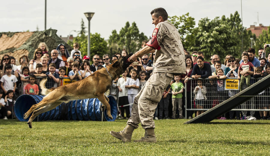 Como anticipo al desfile de las Fuerzas Armadas del sábado, Logroño albergó en varios puntos de la ciudad distintas exhibiciones de destreza de los soldados que participan en la capital riojana en este homenaje a las Fuerzas Armadas.