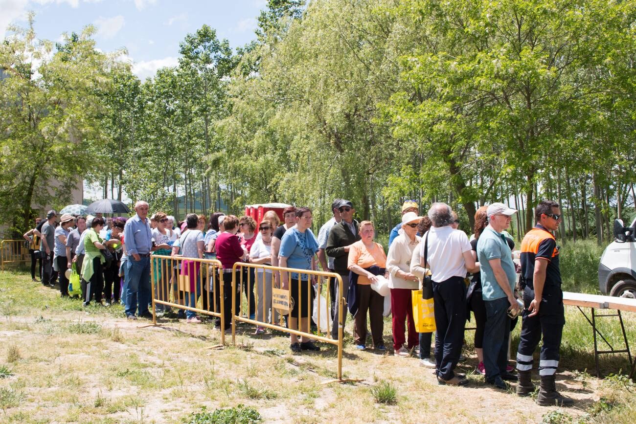 Fotos: Romería a la ermita de Las Abejas