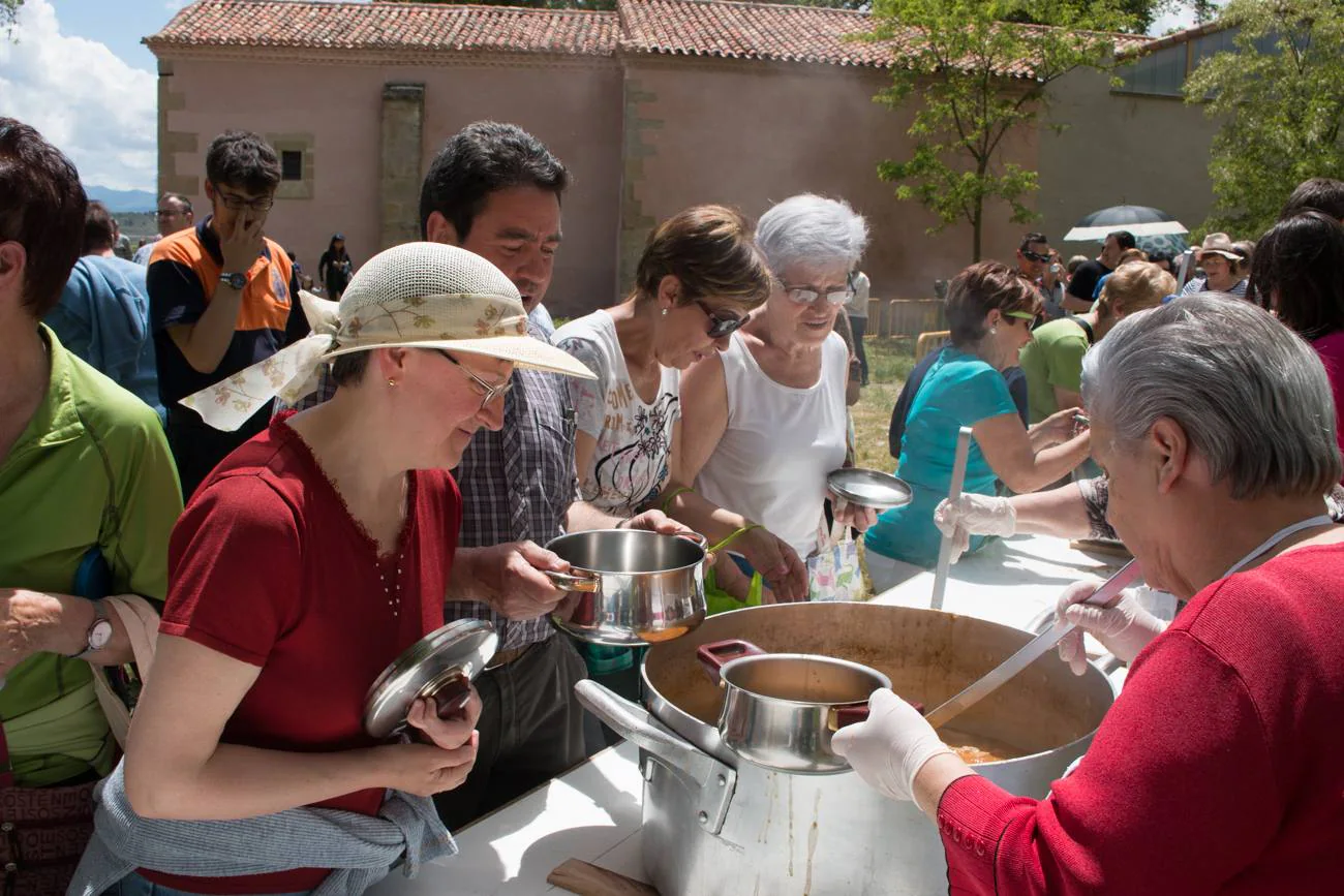 Fotos: Romería a la ermita de Las Abejas