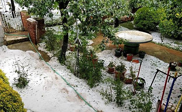 Estampa de un jardín en Gallinero de Rioja. 
