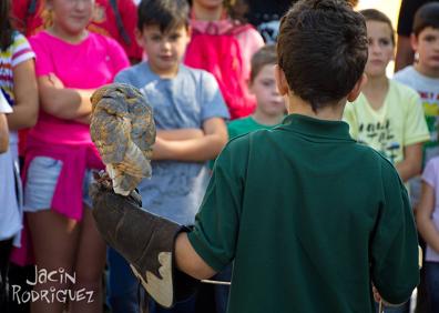 Imagen secundaria 1 - Campamento de Verano Tierra Rapaz: Ciencia y naturaleza unidas para los peques