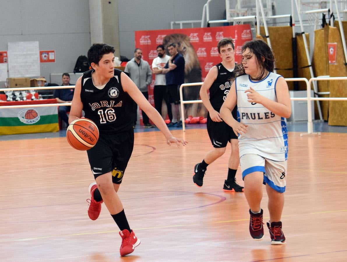 Fotos: Soria Basket y Maristas ganan el torneo Sanignacio