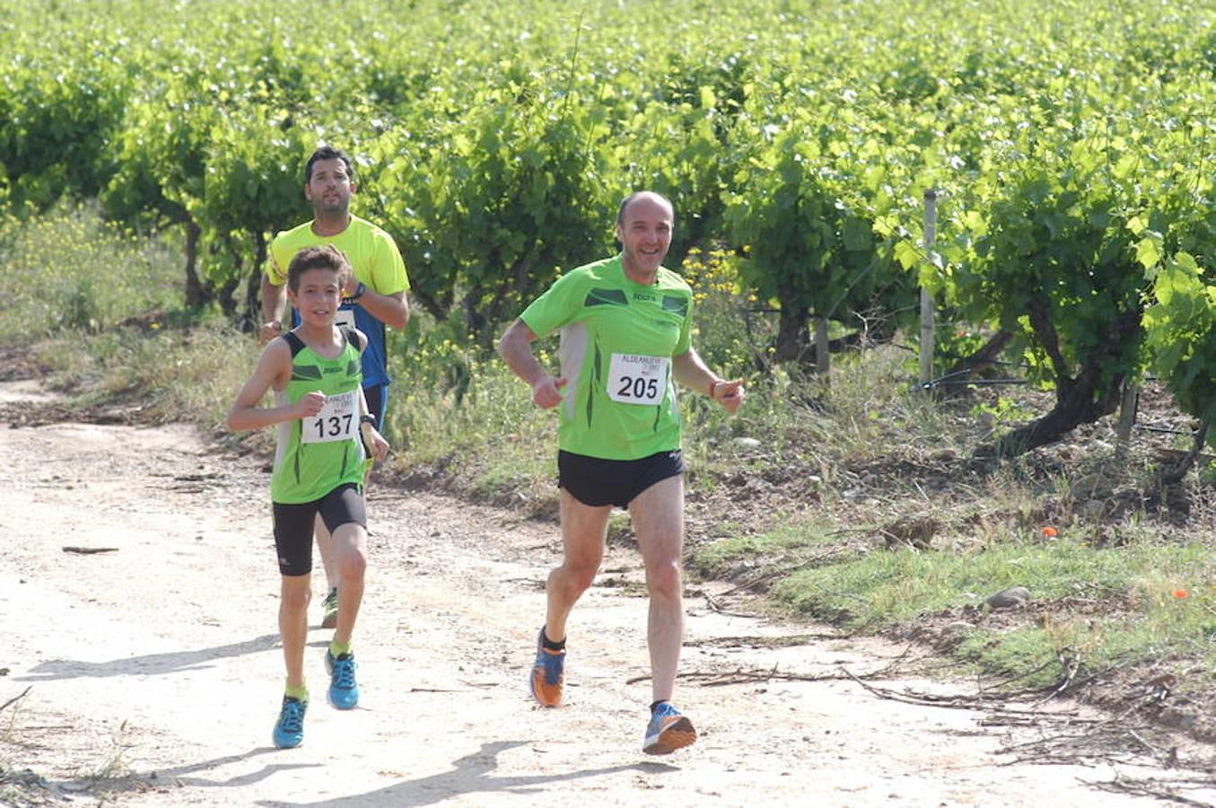 Marcha solidaria y carrera Runners & Wine del sábado por la mañana en Aldeanueva de Ebro.