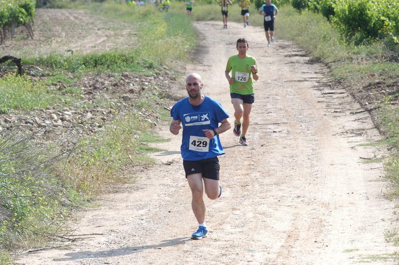 Marcha solidaria y carrera Runners & Wine del sábado por la mañana en Aldeanueva de Ebro.