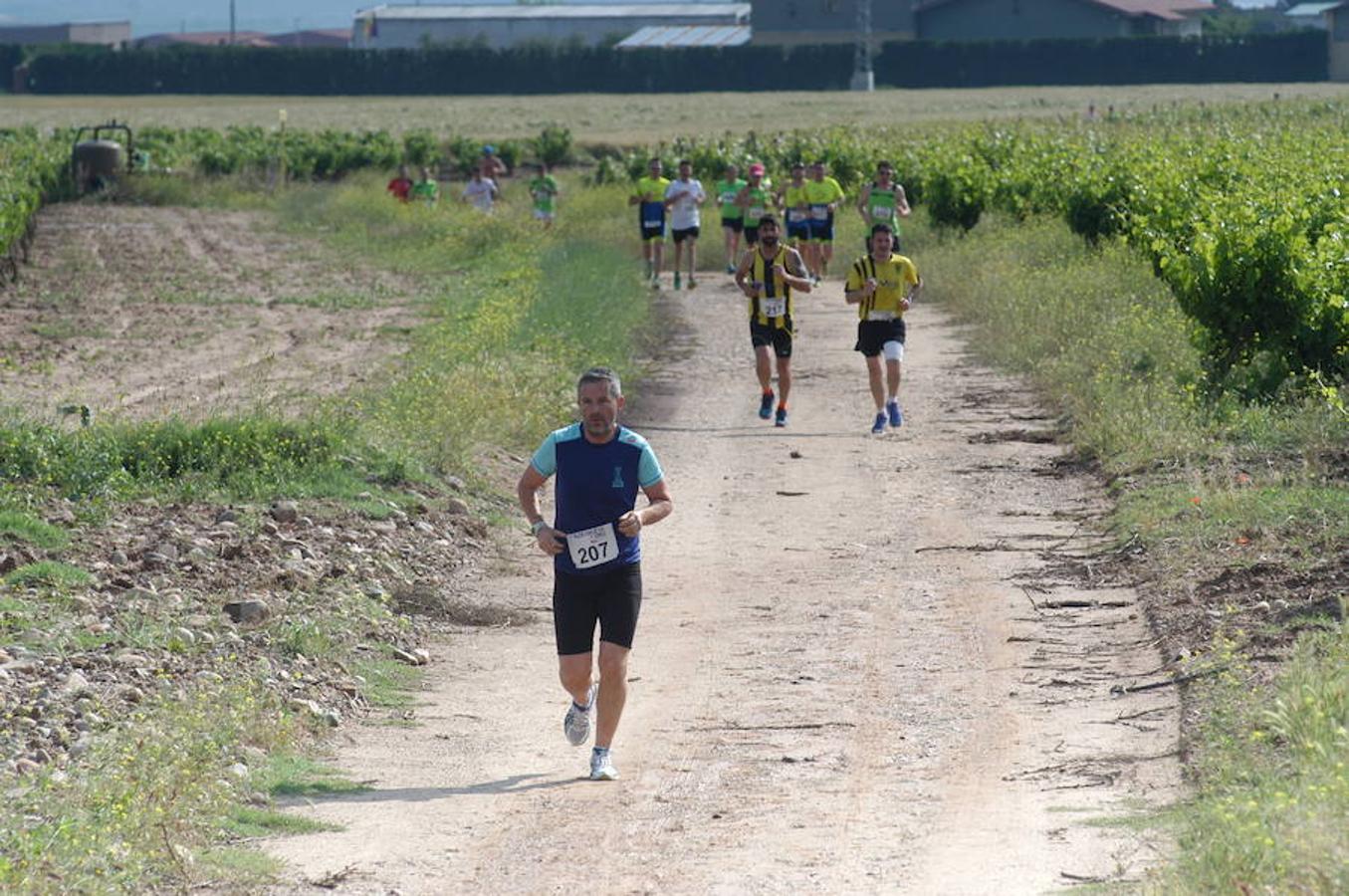 Marcha solidaria y carrera Runners & Wine del sábado por la mañana en Aldeanueva de Ebro.