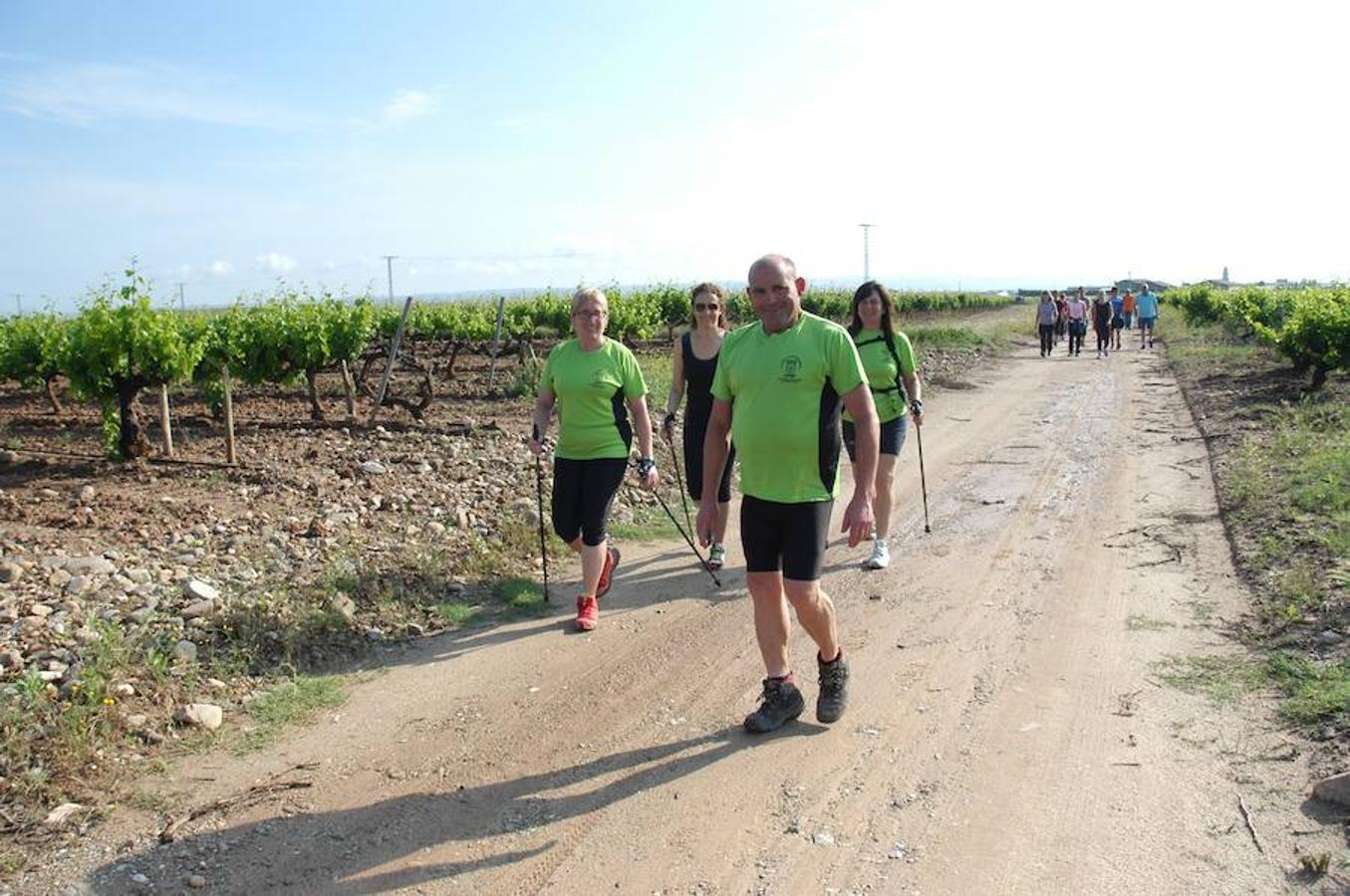 Marcha solidaria y carrera Runners & Wine del sábado por la mañana en Aldeanueva de Ebro.