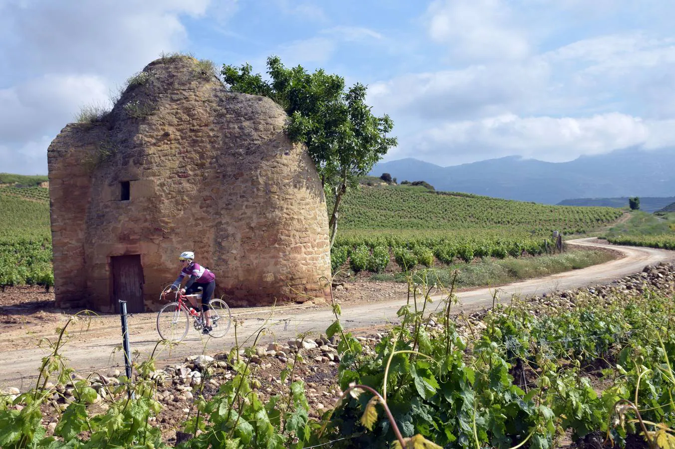 Más de 800 ciclistas en blanco y negro recorren los campos riojanos para completar la ilusión de la Eroica Hispania 2018