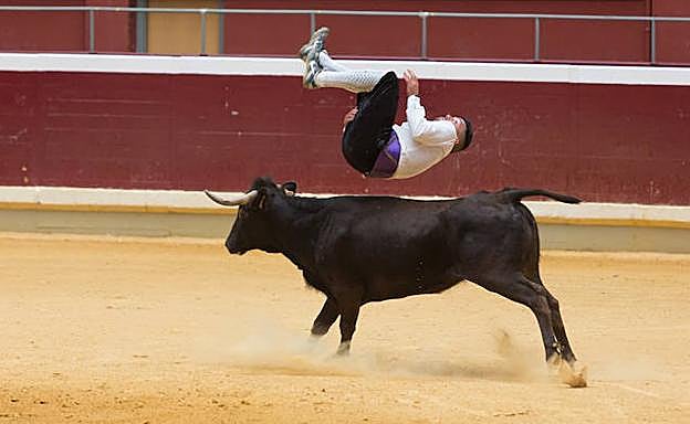Pirueta sobre la res. 