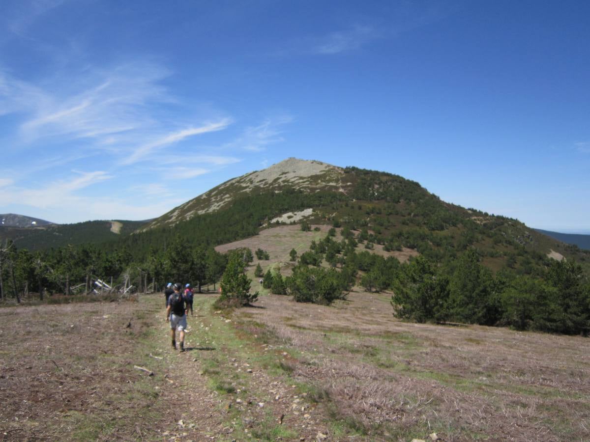 Unas 1.300 personas participaron en la suma de las dos marchas senderistas que recorrieron los montes de la Demanda. La 'Valle de Ezcaray. Memorial Javi Valgañón y Travesía infantil en una actividad organizada por los 'Amigos de Ezcaray'