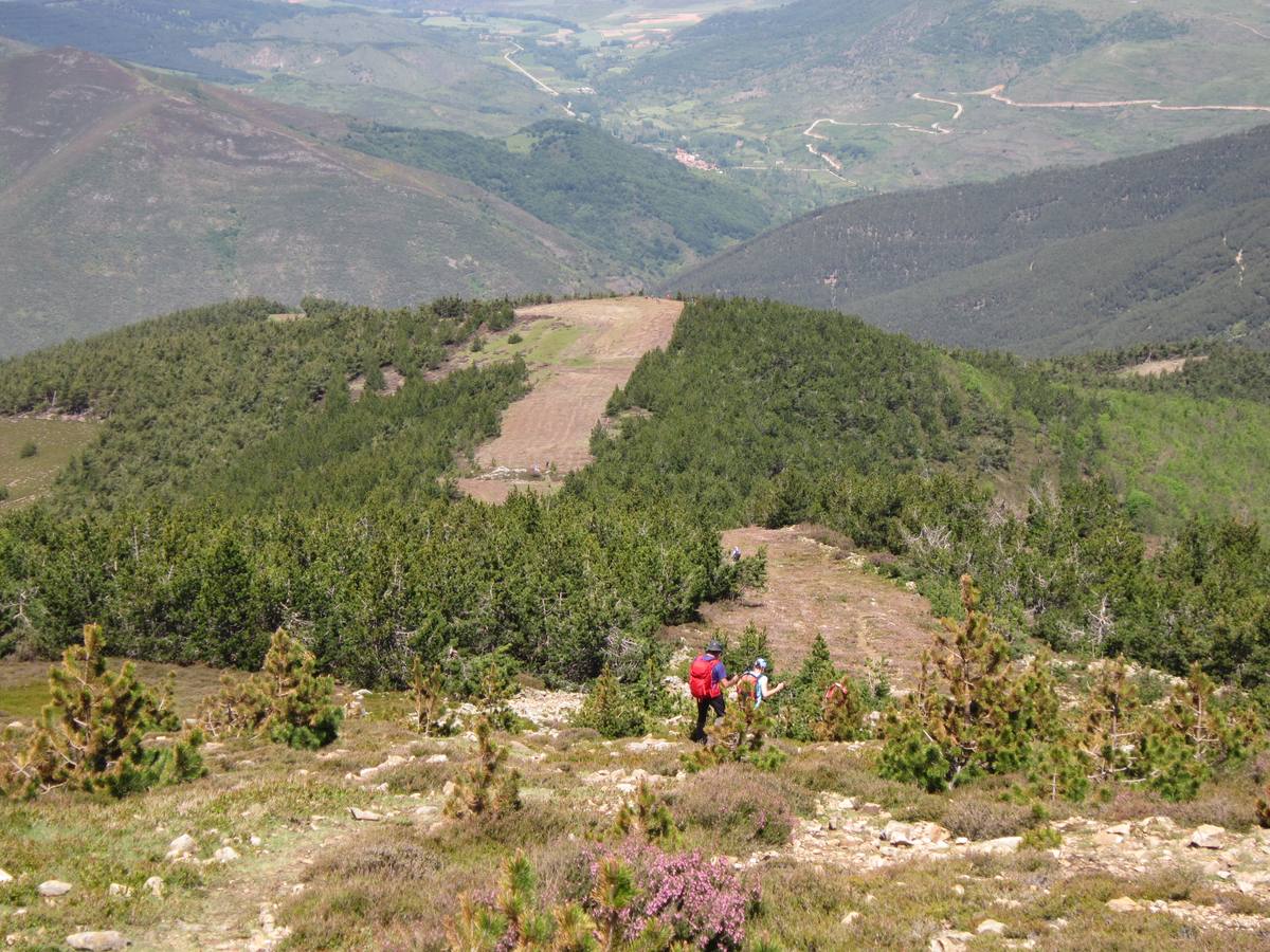 Unas 1.300 personas participaron en la suma de las dos marchas senderistas que recorrieron los montes de la Demanda. La 'Valle de Ezcaray. Memorial Javi Valgañón y Travesía infantil en una actividad organizada por los 'Amigos de Ezcaray'