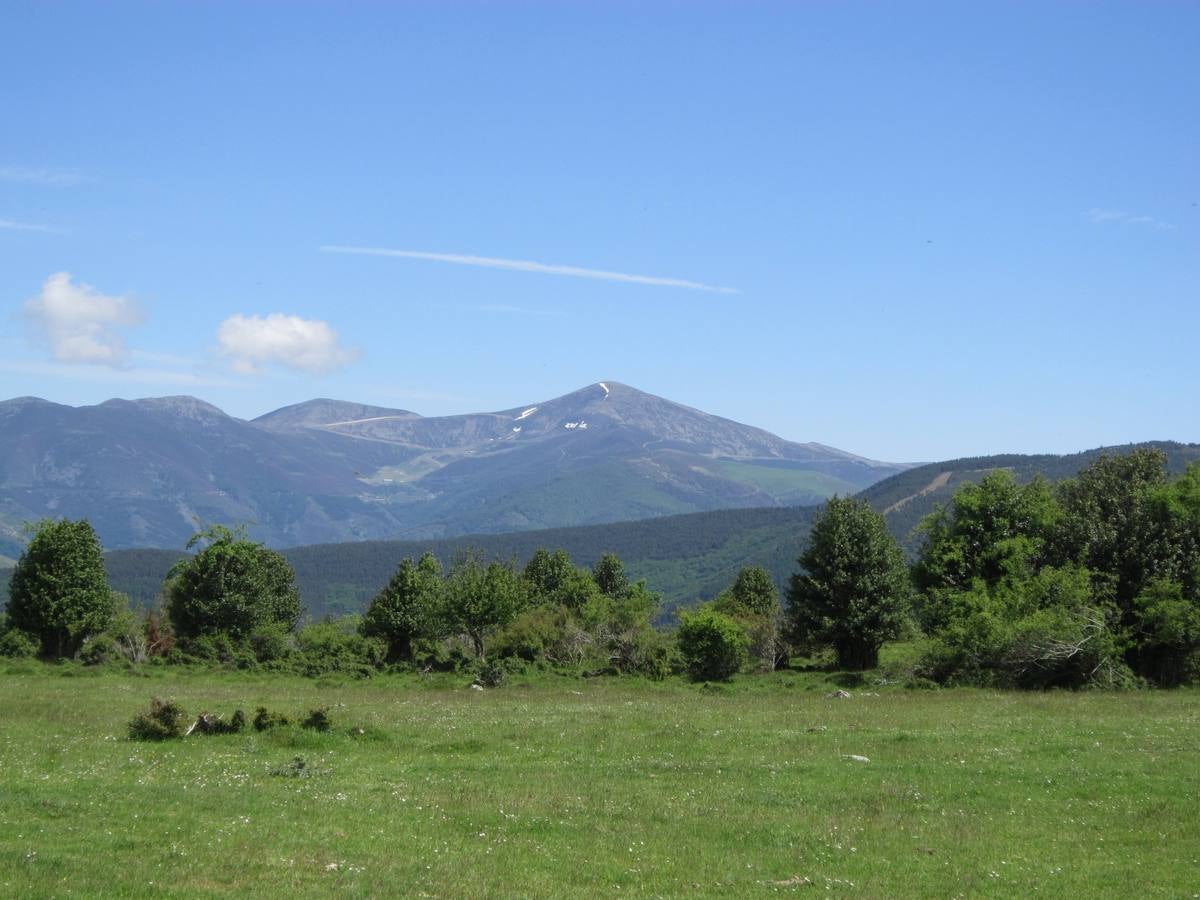 Unas 1.300 personas participaron en la suma de las dos marchas senderistas que recorrieron los montes de la Demanda. La 'Valle de Ezcaray. Memorial Javi Valgañón y Travesía infantil en una actividad organizada por los 'Amigos de Ezcaray'