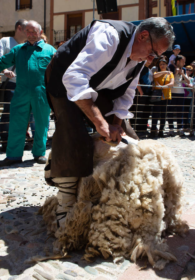 La localidad serrana de Brieva ha revivido la trashumancia. La búsqueda de pastos frescos para los rebaños de ovejas de otras latitudes a la sierra riojana y que mantiene vivas las tradiciones, los caminos y cañadas para alimentar a las cabañas ovina.